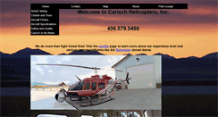 Desktop Screenshot of mtheli.com